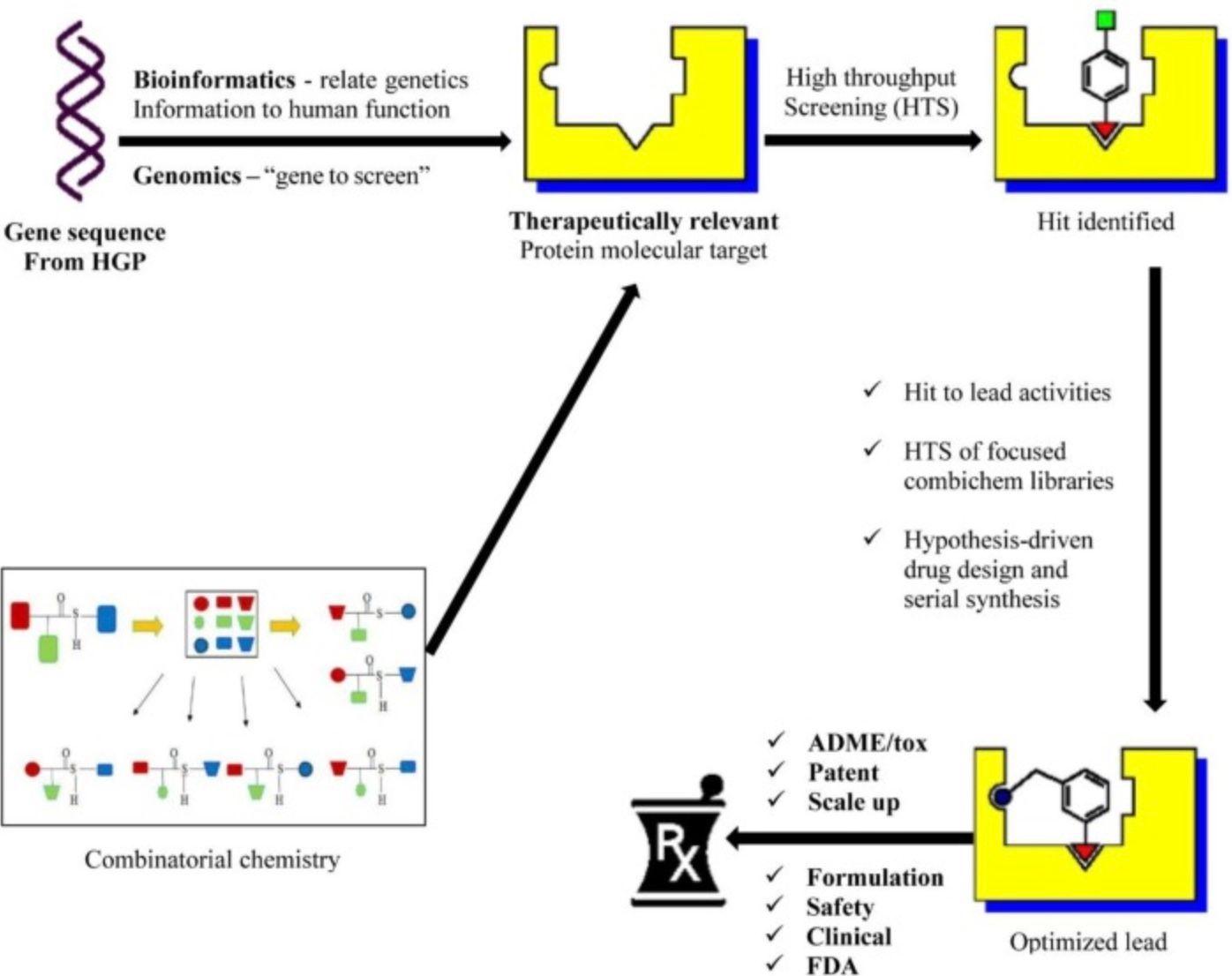 The major role of bioinformatics in drug discovery